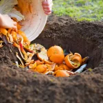 faut-il-mettre-les-agrumes-au-compost-?-ce-que-beaucoup-ignorent-(et-qui-peut-nuire-a-votre-jardin)