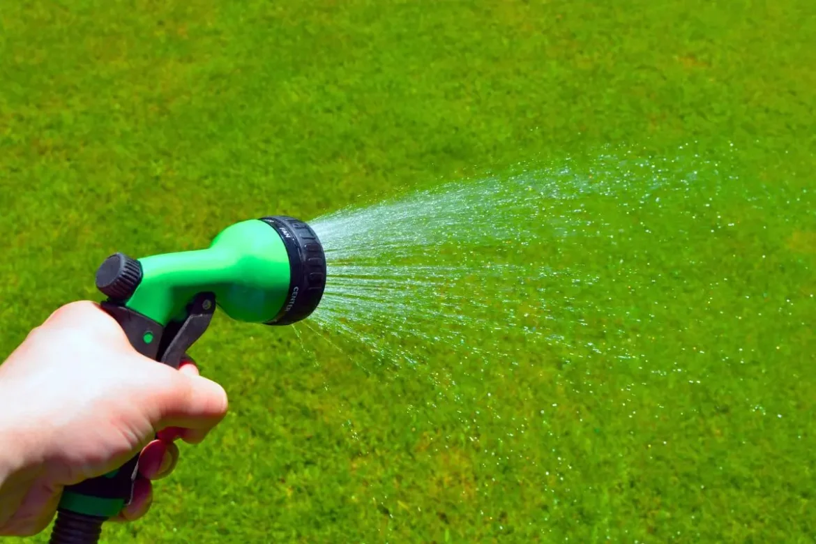 pelouse-et-canicule-:-a-quelle-heure-arroser-votre-pelouse-pour-qu’elle-reste-verte-sans-gaspiller-d’eau-? pelouse-et-canicule-:-a-quelle-heure-arroser-votre-pelouse-pour-qu’elle-reste-verte-sans-gaspiller-d’eau-?