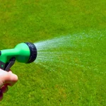 pelouse-et-canicule-:-a-quelle-heure-arroser-votre-pelouse-pour-qu’elle-reste-verte-sans-gaspiller-d’eau-?