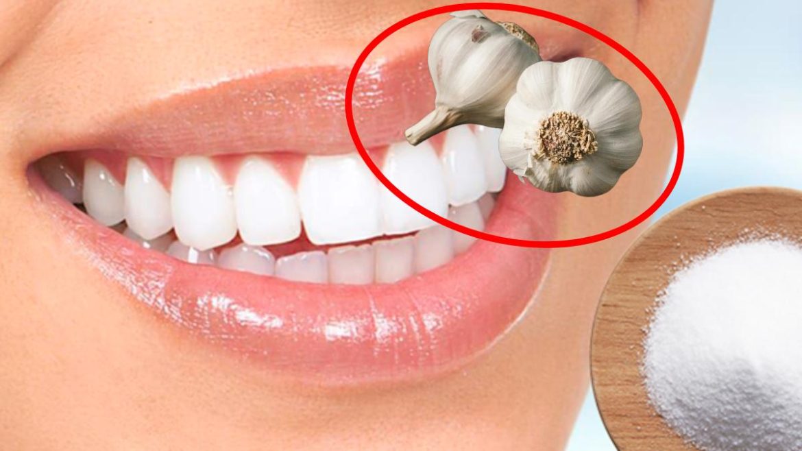 l’astuce-etonnante-pour-blanchir-vos-dents-avec-du-sel-et-de-l’ail-:-un-duo-qui-transforme-les-sourires l’astuce-etonnante-pour-blanchir-vos-dents-avec-du-sel-et-de-l’ail-:-un-duo-qui-transforme-les-sourires
