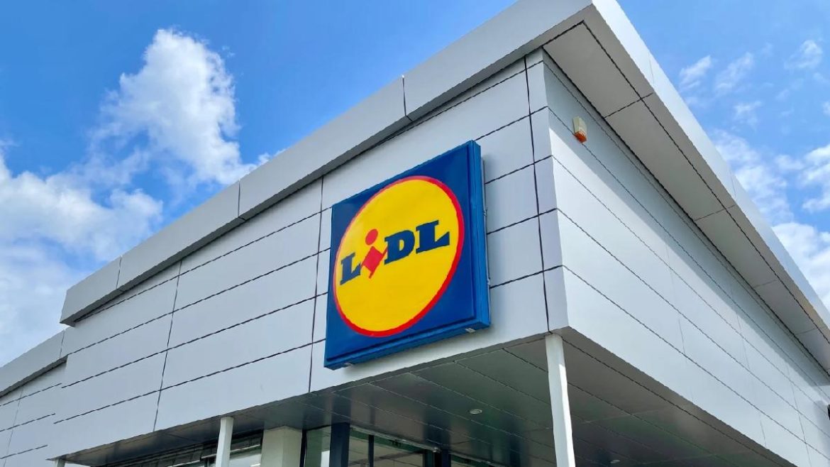 lidl-surprend-tout-le-monde-avec-ce-magasin-revolutionnaire-qui-ne-ressemble-a-aucun-autre lidl-surprend-tout-le-monde-avec-ce-magasin-revolutionnaire-qui-ne-ressemble-a-aucun-autre