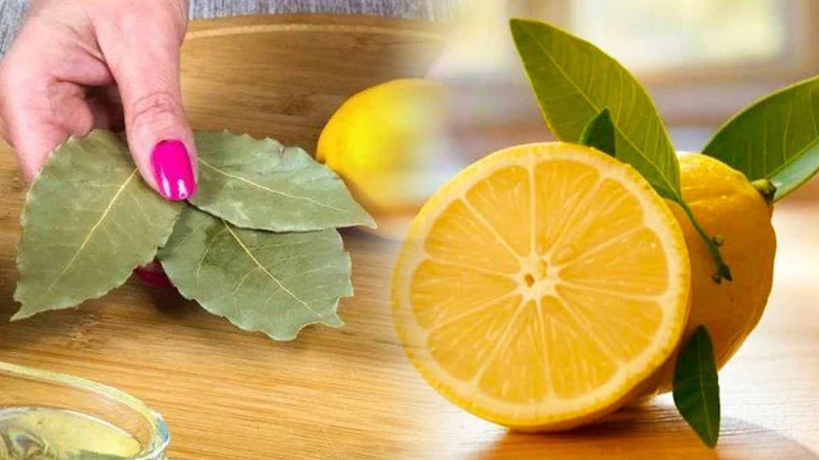 cette-astuce-meconnue-du-citron-et-du-laurier-fera-des-merveilles-dans-votre-maison