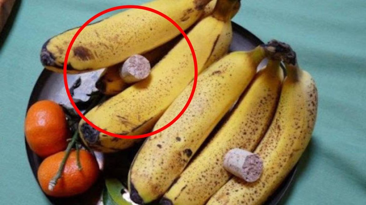 Des moucherons dans la cuisine ? Cette astuce du bouchon de liège les fait fuir tout l’été Des moucherons dans la cuisine ? Cette astuce du bouchon de liège les fait fuir tout l’été