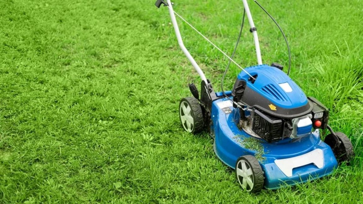 tondre-sa-pelouse-un-jour-ferie-?-voici-la-regle-a-respecter-pour-eviter-une-amende-salee tondre-sa-pelouse-un-jour-ferie-?-voici-la-regle-a-respecter-pour-eviter-une-amende-salee
