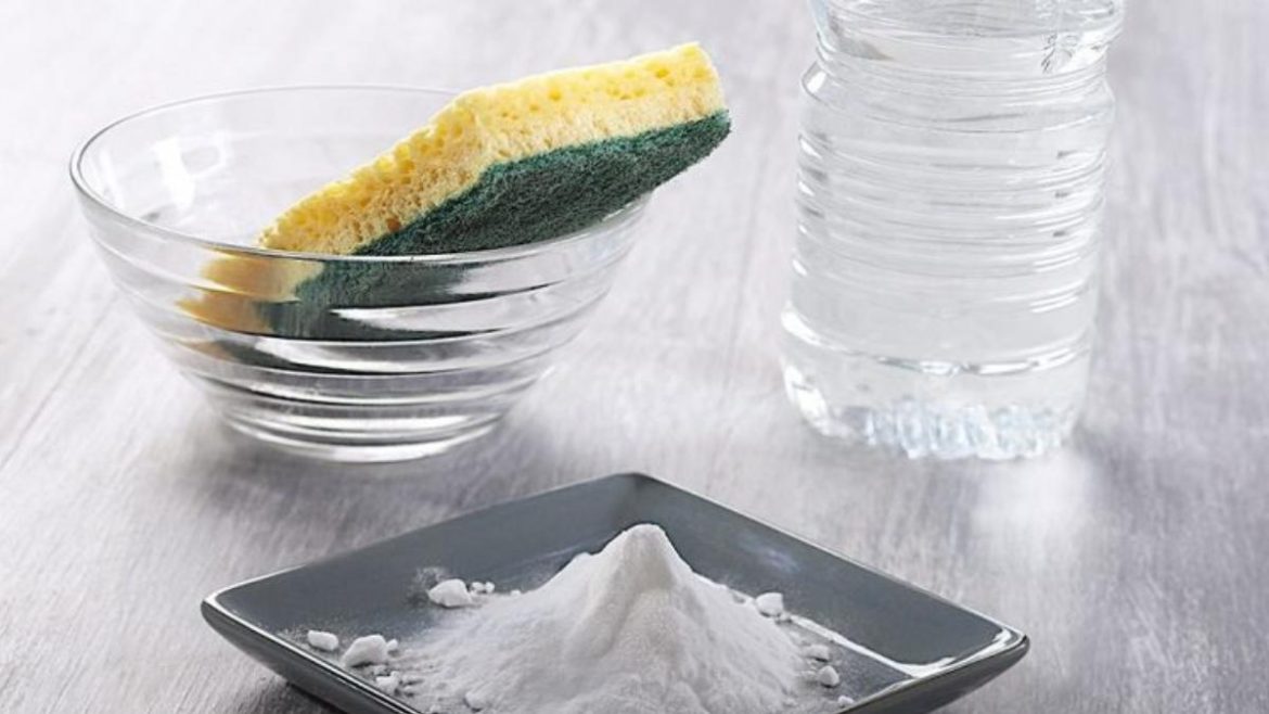 des-insectes-chez-vous-?-voila-l’astuce-naturelle-qui-dit-non-aux-cafards,-moustiques-et-fourmis des-insectes-chez-vous-?-voila-l’astuce-naturelle-qui-dit-non-aux-cafards,-moustiques-et-fourmis