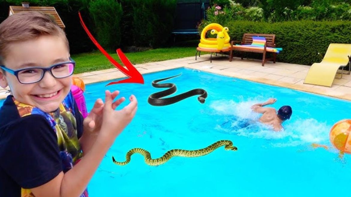l’ete-arrive-:-attention-a-ces-serpents-aquatiques-dans-votre-piscine,-voici-comment-les-eviter l’ete-arrive-:-attention-a-ces-serpents-aquatiques-dans-votre-piscine,-voici-comment-les-eviter