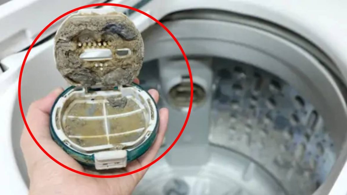 oubliez-le-vinaigre-blanc-:-cette-astuce-meconnue-va-revolutionner-le-nettoyage-de-votre-machine-a-laver oubliez-le-vinaigre-blanc-:-cette-astuce-meconnue-va-revolutionner-le-nettoyage-de-votre-machine-a-laver