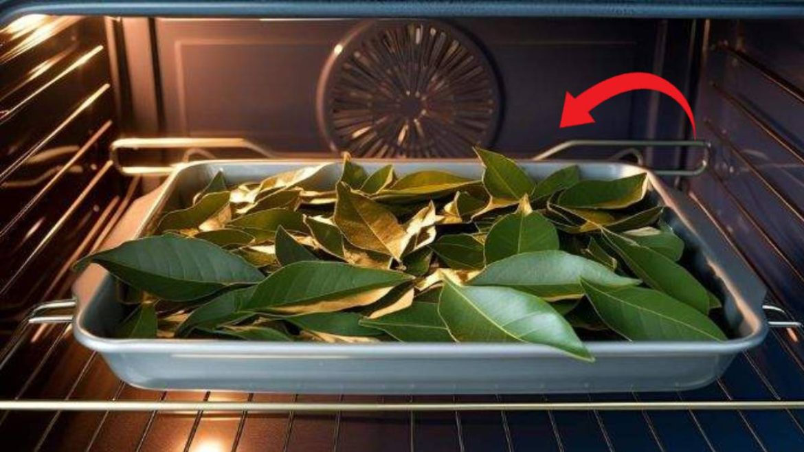 l’astuce-de-la-feuille-de-laurier-dans-le-four,-un-secret-de-grand-mere-qui-surprend-par-son-efficacite l’astuce-de-la-feuille-de-laurier-dans-le-four,-un-secret-de-grand-mere-qui-surprend-par-son-efficacite