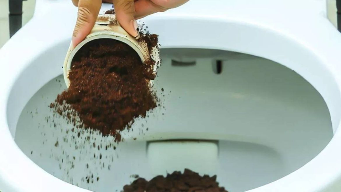 l’astuce-meconnue-du-marc-de-cafe-dans-les-wc-:-la-solution-miracle-a-ce-probleme-de-plomberie l’astuce-meconnue-du-marc-de-cafe-dans-les-wc-:-la-solution-miracle-a-ce-probleme-de-plomberie