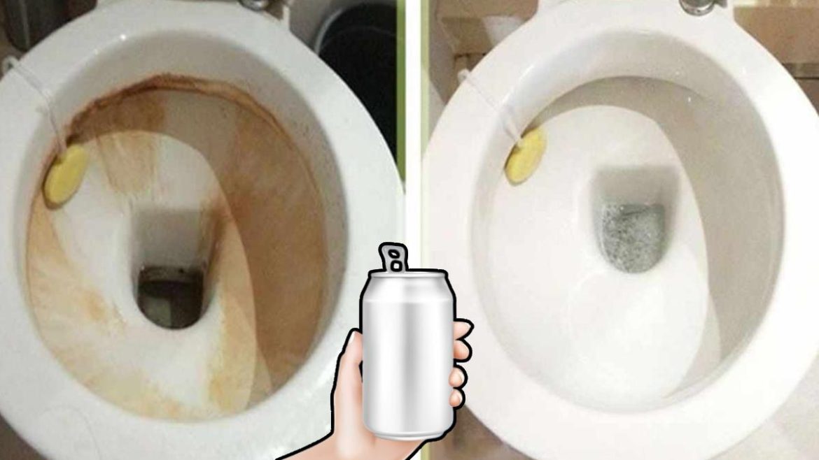 l’astuce-au-soda-qui-fait-disparaitre-le-calcaire-au-fond-des-toilettes-:-voici-comment-ca-marche l’astuce-au-soda-qui-fait-disparaitre-le-calcaire-au-fond-des-toilettes-:-voici-comment-ca-marche