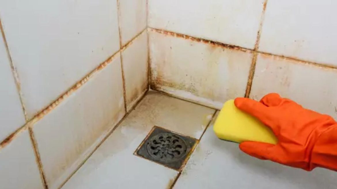 voici-l’astuce-de-grand-mere-surprenante-qui-redonne-de-l’eclat-a-votre-carrelage-en-un-clin-d’oeil