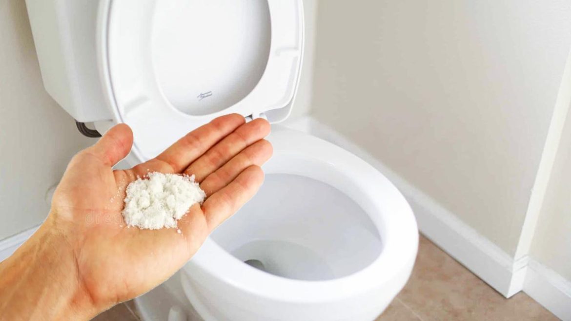 mettez-du-gros-sel-dans-vos-toilettes-chaque-soir-:-une-astuce-magique-qui-peut-vous-sauver-la-vie