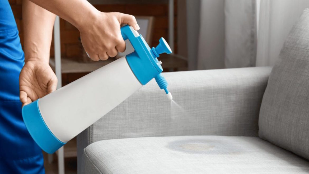 votre-canape-est-abime-ou-vieilli-?-ce-petit-gadget-meconnu-peut-le-rendre-comme-neuf votre-canape-est-abime-ou-vieilli-?-ce-petit-gadget-meconnu-peut-le-rendre-comme-neuf